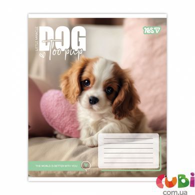 Зошит учнівський Yes Dog too pup А5 12 кл. (768731)