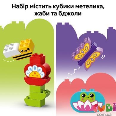 Конструктор Lego DUPLO Творчий сад і квіти (10444), комбінований