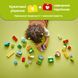 Конструктор Lego DUPLO Творчий сад і квіти (10444), комбінований
