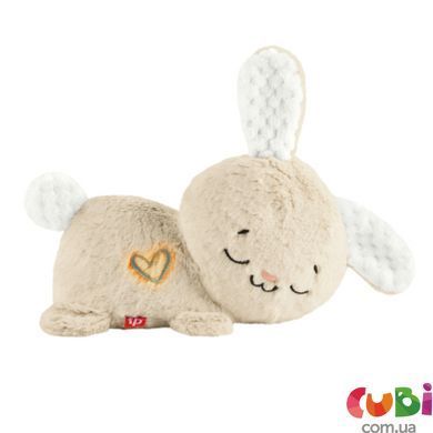 Мягкая игрушка "Сладкие сны зайчонка" Fisher-Price (HXG97)
