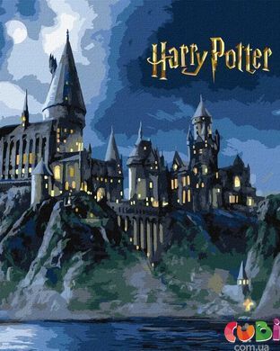 Набор для росписи по номерам WB Harry Potter: Хогвартс ночью с красками металлик extra 40х50 (KHO5230)
