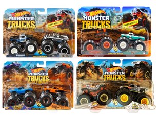 Набор из 2 машинок-внедорожников Hot Wheels Monster Trucks (FYJ64)