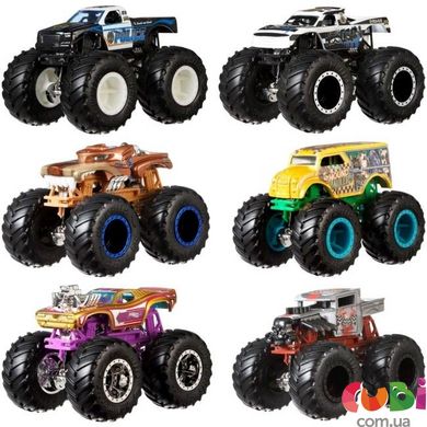 Набор из 2 машинок-внедорожников Hot Wheels Monster Trucks (FYJ64)