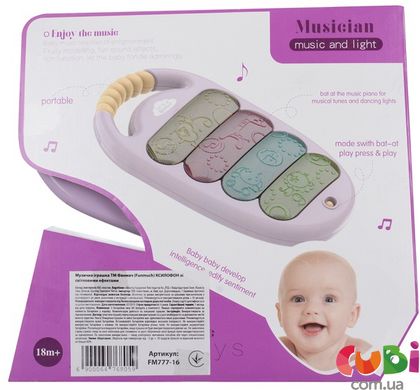 Музыкальная игрушка Funmuch КСИЛОФОН со световыми эффектами (FM777-16)
