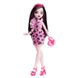 Кукла Моя монстро-подружка Monster High в ассортименте, HRC12