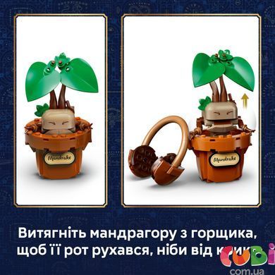 Конструктор Lego Рослини з курсу гербології в Гоґвортсі Harry Potter (76474)