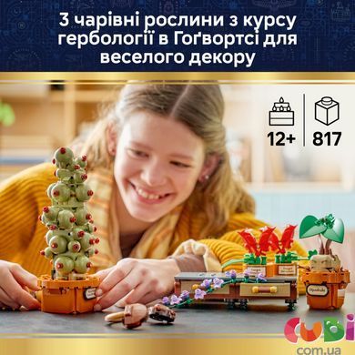 Конструктор Lego Рослини з курсу гербології в Гоґвортсі Harry Potter (76474)