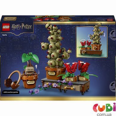 Конструктор Lego Рослини з курсу гербології в Гоґвортсі Harry Potter (76474)
