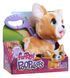 Интерактивная игрушка FURREAL серии "Poop-A-Lots" &ndash; КОРГИ, комбинированый