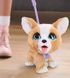 Интерактивная игрушка FURREAL серии "Poop-A-Lots" &ndash; КОРГИ, комбинированый