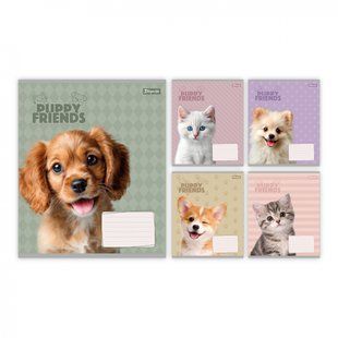 Тетрадь ученическая 1В Puppy friends А5 12 кл. (768776)