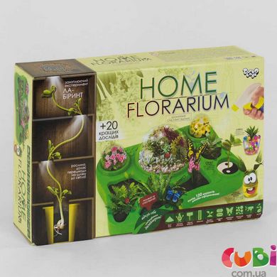 Набор для выращивания растений DANKO TOYS HOME FLORARIUM