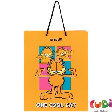 Пакет бумажный подарочный Kite, 26х32см, GF (GF25-266)