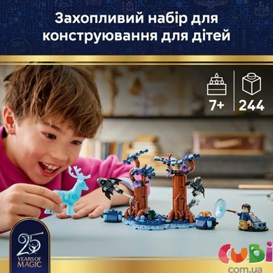 Конструктор Lego Заборонений ліс: Експекто патронум Harry Potter (76475)