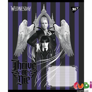 Тетрадь ученическая школьная, А5 18 лен. Yes Wednesday: Таинственные уроки (768273)