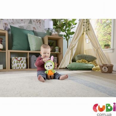 Іграшка Зайчик-обіймашка з прорізувачем Fisher-Price (JLB87)
