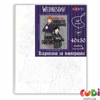 Картина за номерами SANTI Wednesday. The Admirer, 40 50 см, 954491