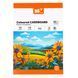 Картон кольоровий односторонній Yes "Orange Line", 10 аркушів, А4, папка (954895)