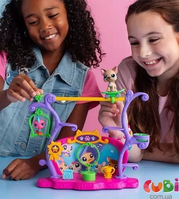 Ігровий набір LITTLEST PET SHOP &ndash; ШОУ ТАЛАНТІВ (2 фігурки, сцена, аксесуари), комбінований