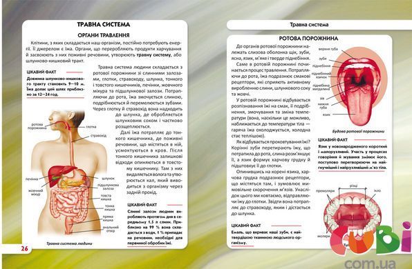 Книга Мир вокруг нас Тело человека - Дмитрий Турбанист