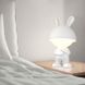 Світильник нічник LED з акумулятором Kite Dreamy Bunny K25-315-1-1, білий