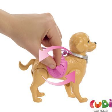 Набір Barbie Прогулянка з песиком (JJB46)
