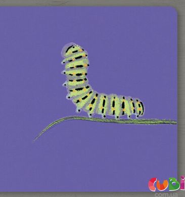 Книга CollectTheRainbow_Insect