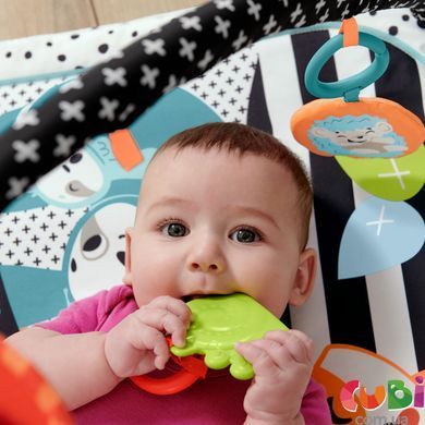 Коврик-игровой центр 3-в-1 Веселые развлечения Fisher-Price (JMN72)