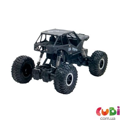 Автомобіль OFF-ROAD CRAWLER з р/к - TIGER (матовий чорний, акум. 4,8V, метал. корпус, 1: 18), Матовый черный