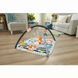 Коврик-игровой центр 3-в-1 Веселые развлечения Fisher-Price (JMN72)