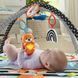 Коврик-игровой центр 3-в-1 Веселые развлечения Fisher-Price (JMN72)