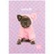 Блокнот-планшет Kite Studio Pets SP25-194, A5, 50 листов клетка
