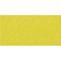 Папір для дизайну, Fotokarton A4 (21 29.7см), №12 Лимонно-жовтий, 300г м2, Folia, 4256012