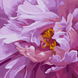 Картина по номерам SANTI Розовая феерия, 40 40 см, 954430