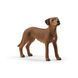 Іграшка-фігурка Schleich Родезійський риджбек (13895), комбінований