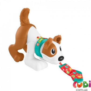 Интерактивный Веселый щенок (укр.) Fisher-Price, HHH12