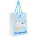 Пакет паперовий подарунковий Kite Cinnamoroll (CR26-265), 18х24см
